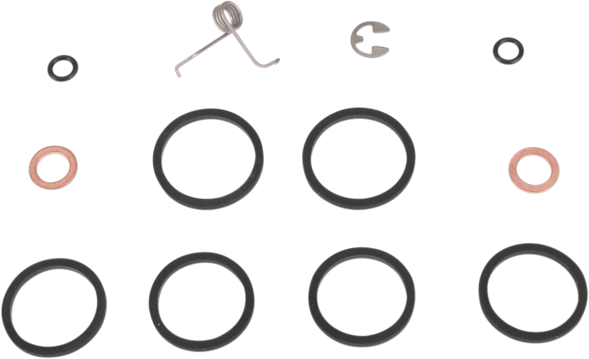 600 Series 6-Piston Brake Caliper Rebuild Kit