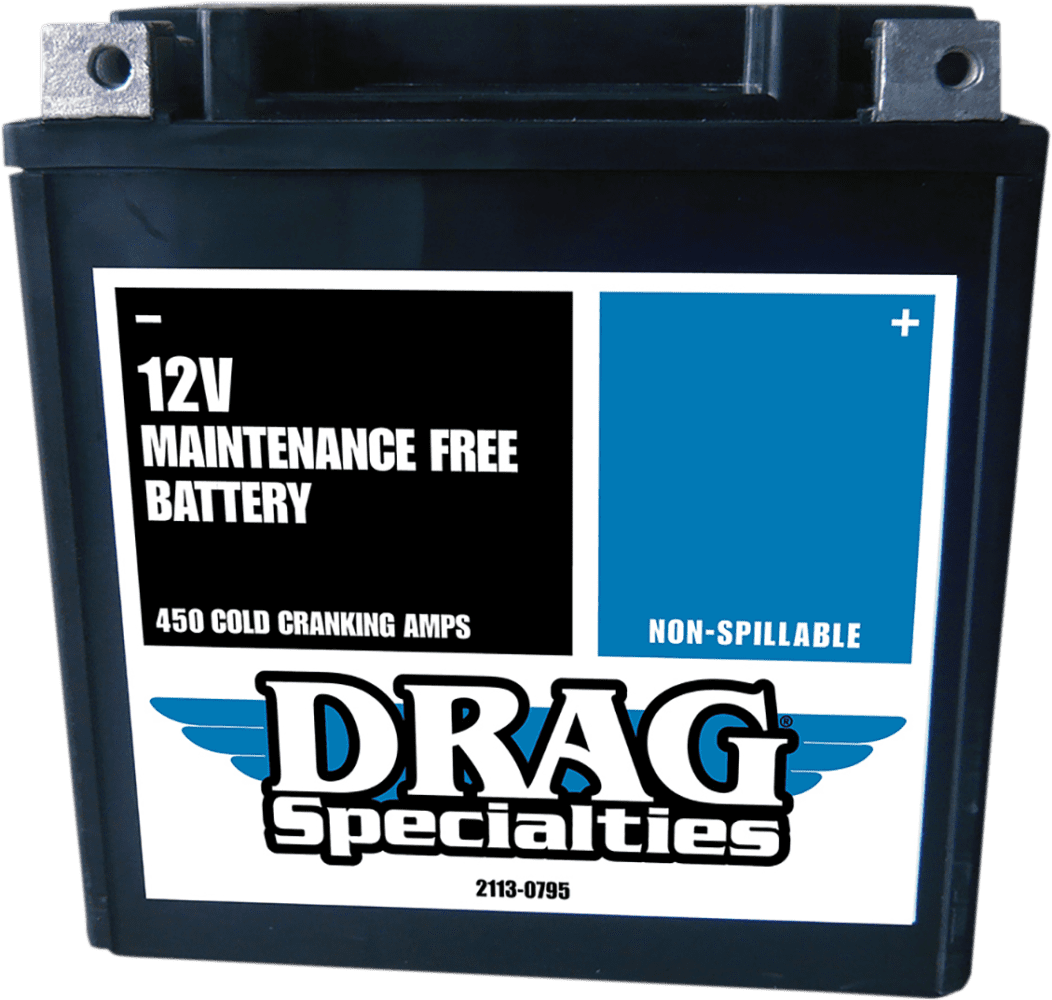 Factory-Activated AGM Maintenance-Free Battery