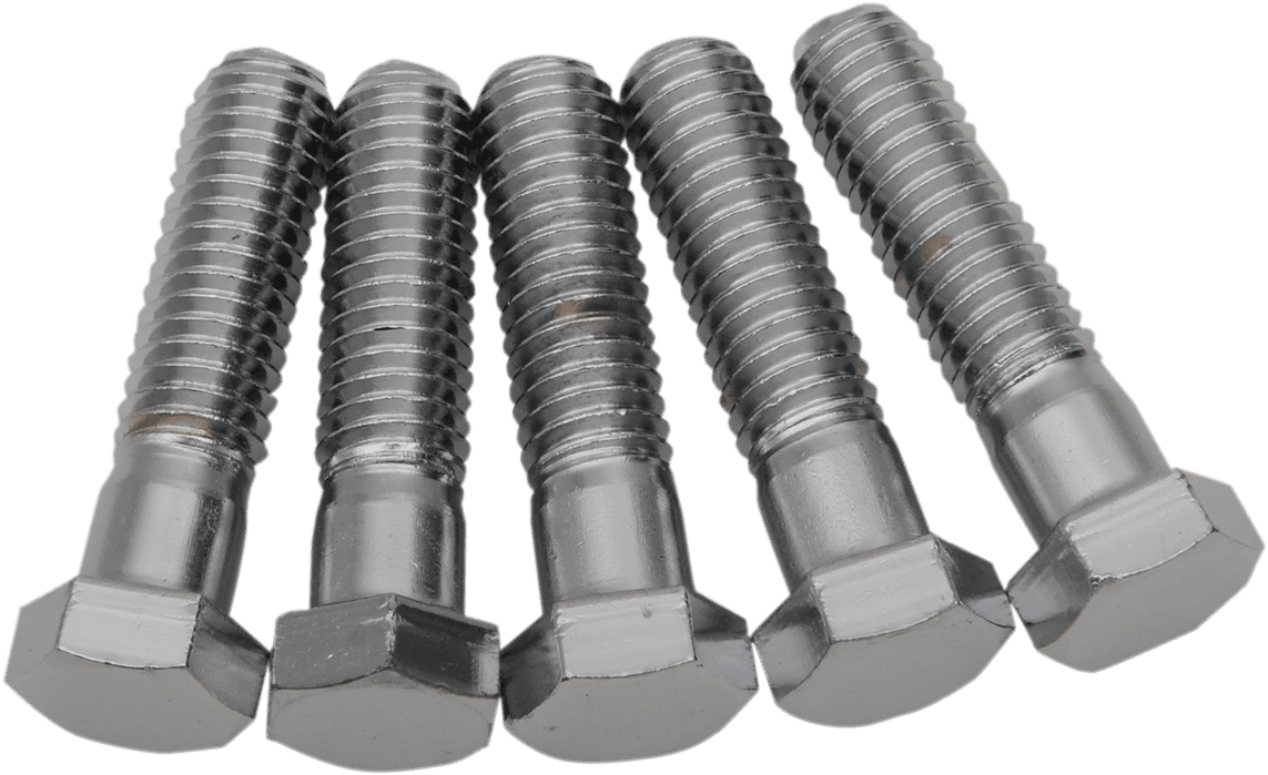 Replacement Hex-Head Bolts