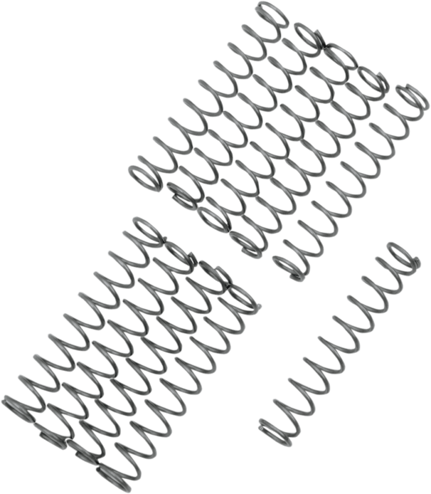 Oil Pump Relief Valve Springs