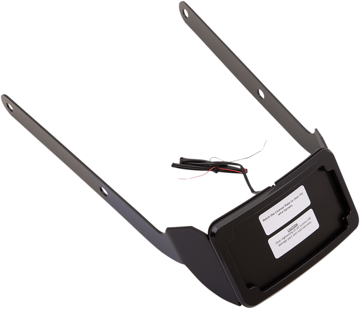 Curved License Plate Frame and Mount with License Plate Light