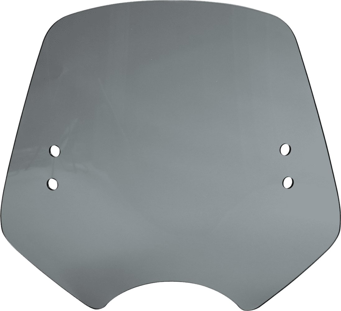 The Shooter Windshield