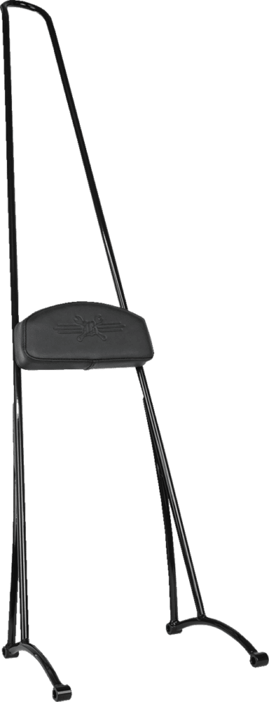 Stupid Tall Sissy Bar