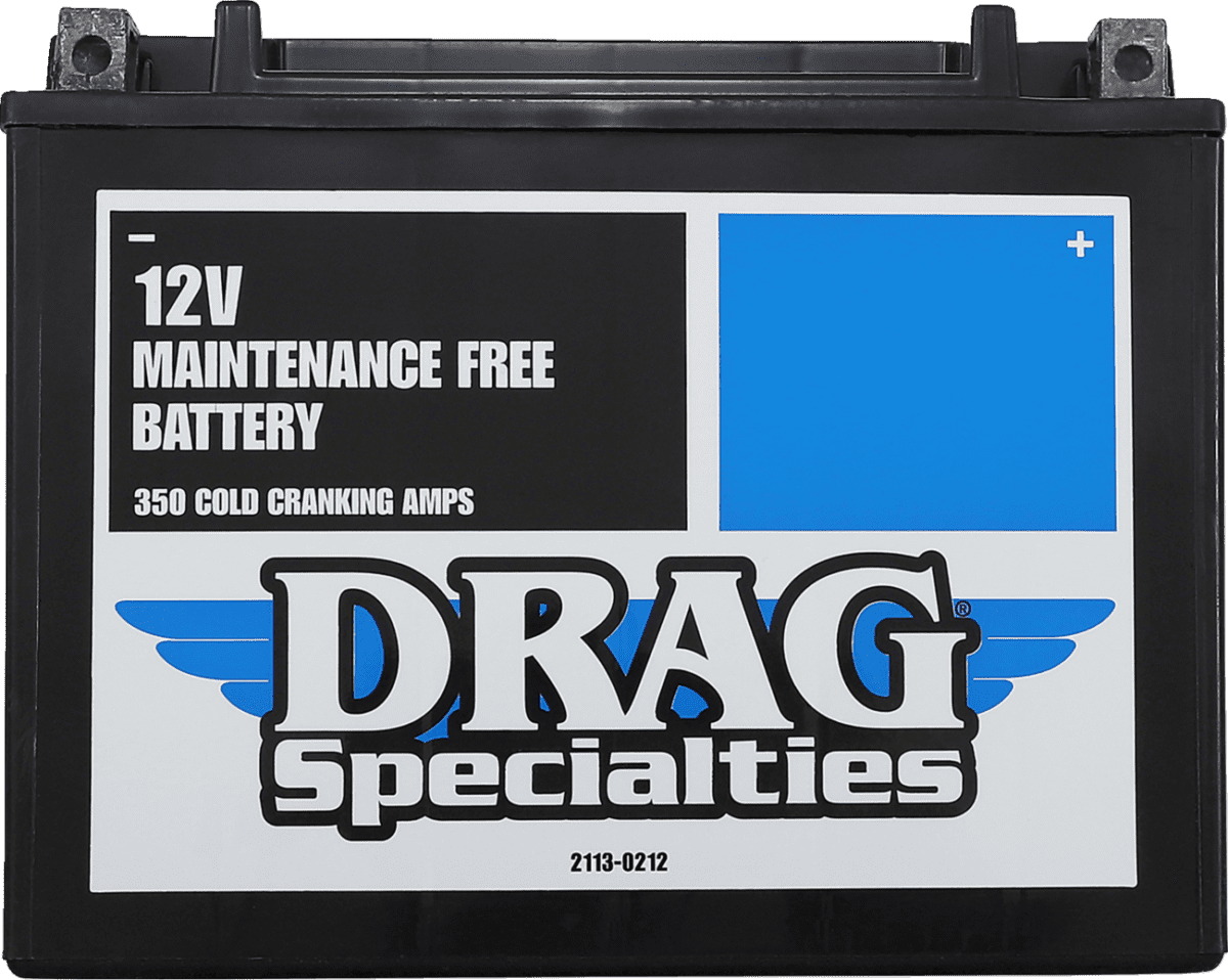 AGM Maintenance-Free Battery