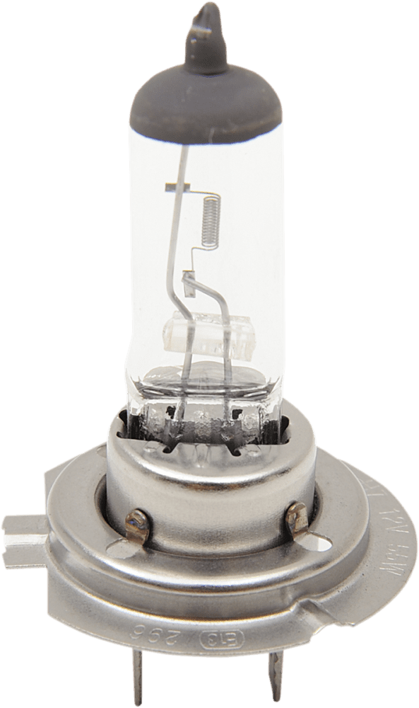 Halogen Headlight Bulb