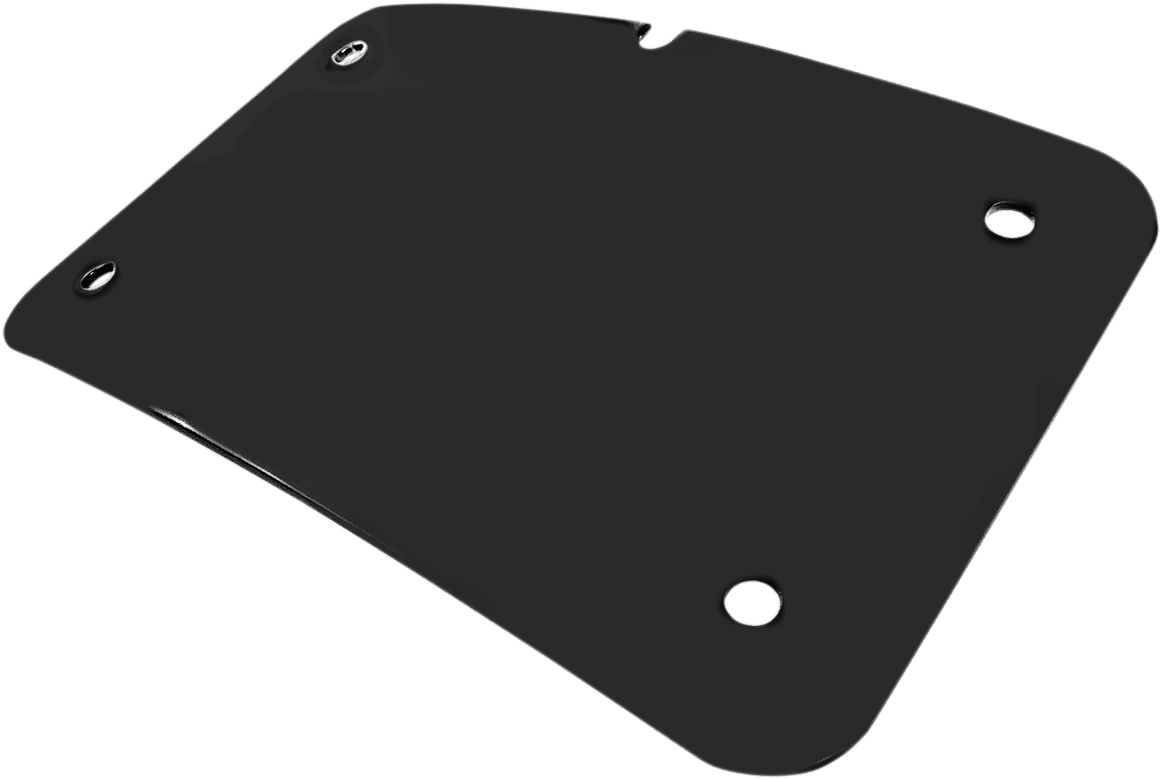 3 Hole License Plate Mount