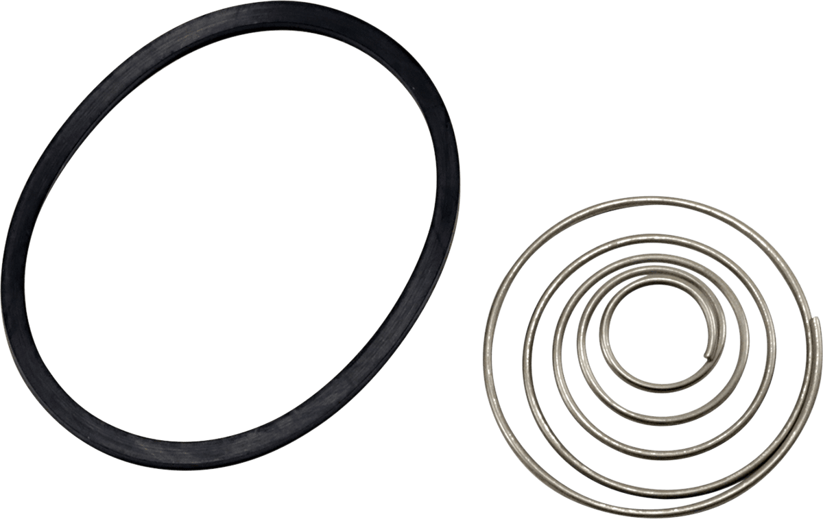 Replacement Oil Ring and Spring Set