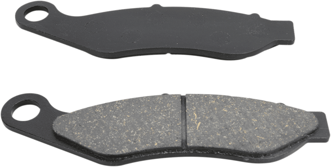 Organic Harley/Buell Brake Pads