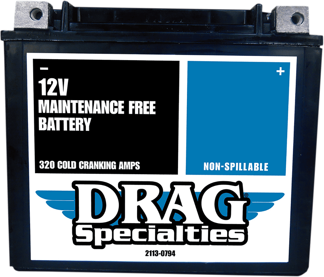 Factory-Activated High-Performance AGM Maintenance-Free Battery