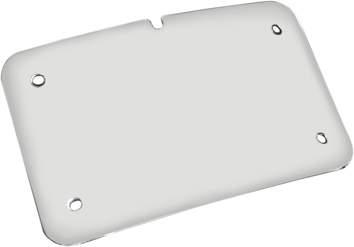 3 Hole License Plate Mount