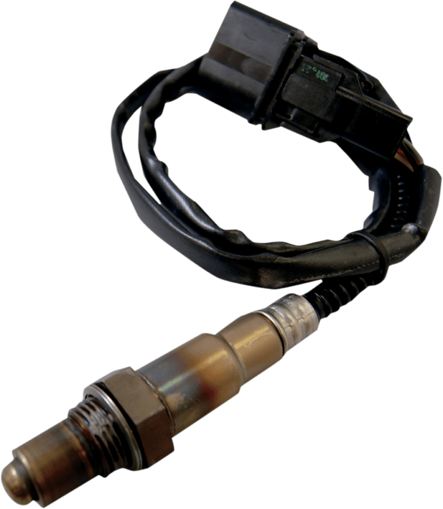 ECM Oxygen Sensor