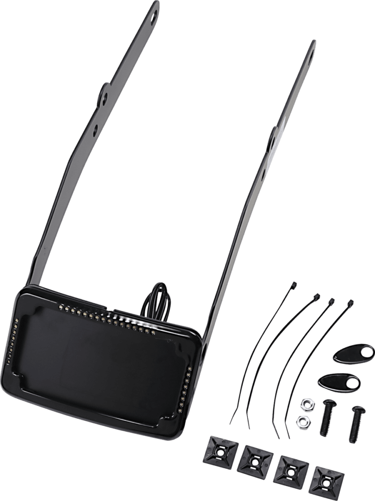 Curved License Plate Frame and Mount with License Plate Light