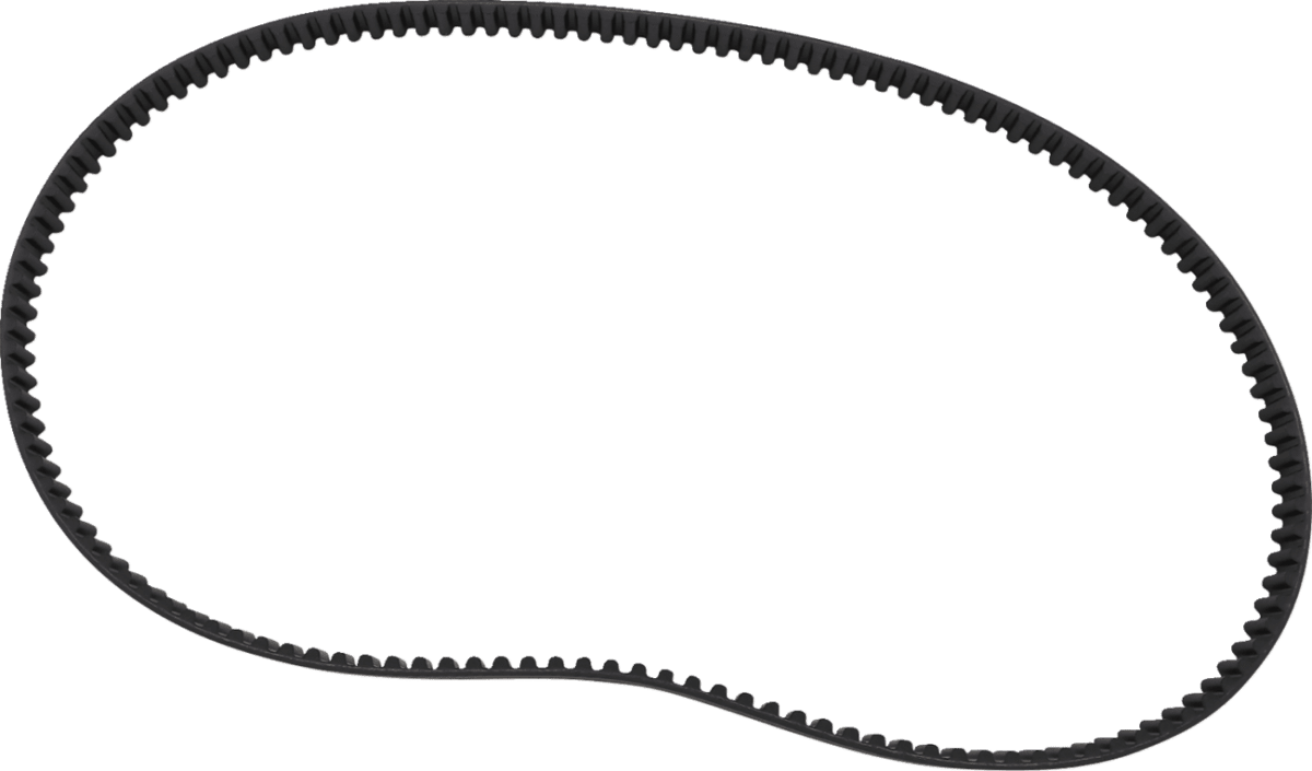 Rear Drive Belt