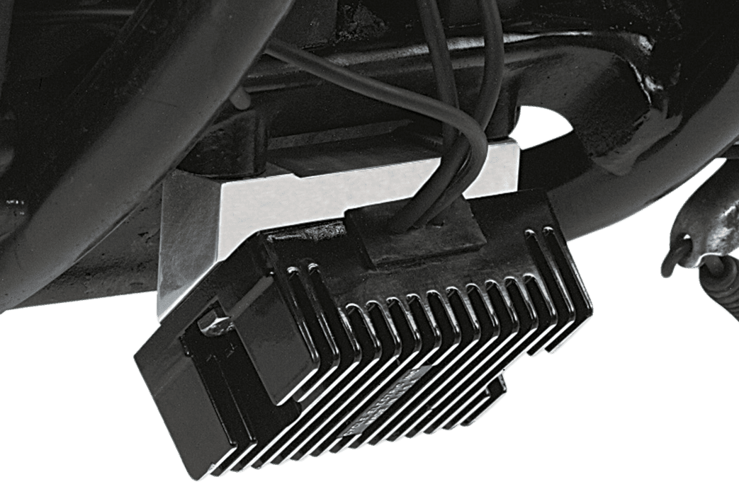 Custom Regulator Mount