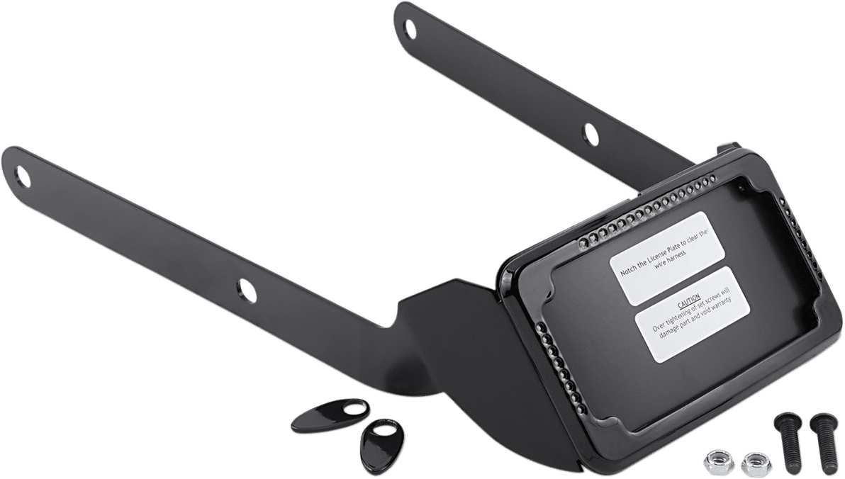 Curved License Plate Frame and Mount with License Plate Light