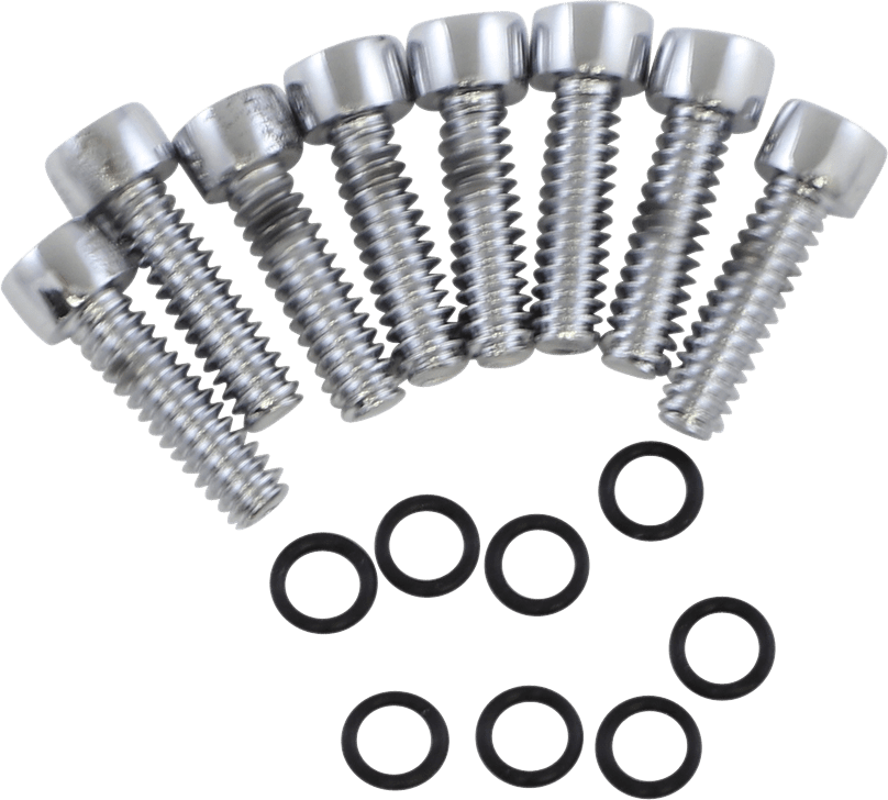 Turn Signal Lens Bolt Kit