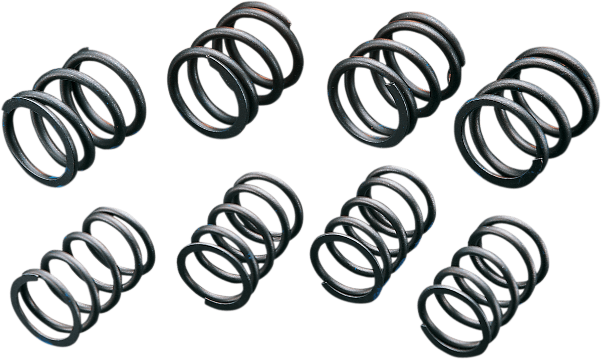 High-Lift Valve Springs