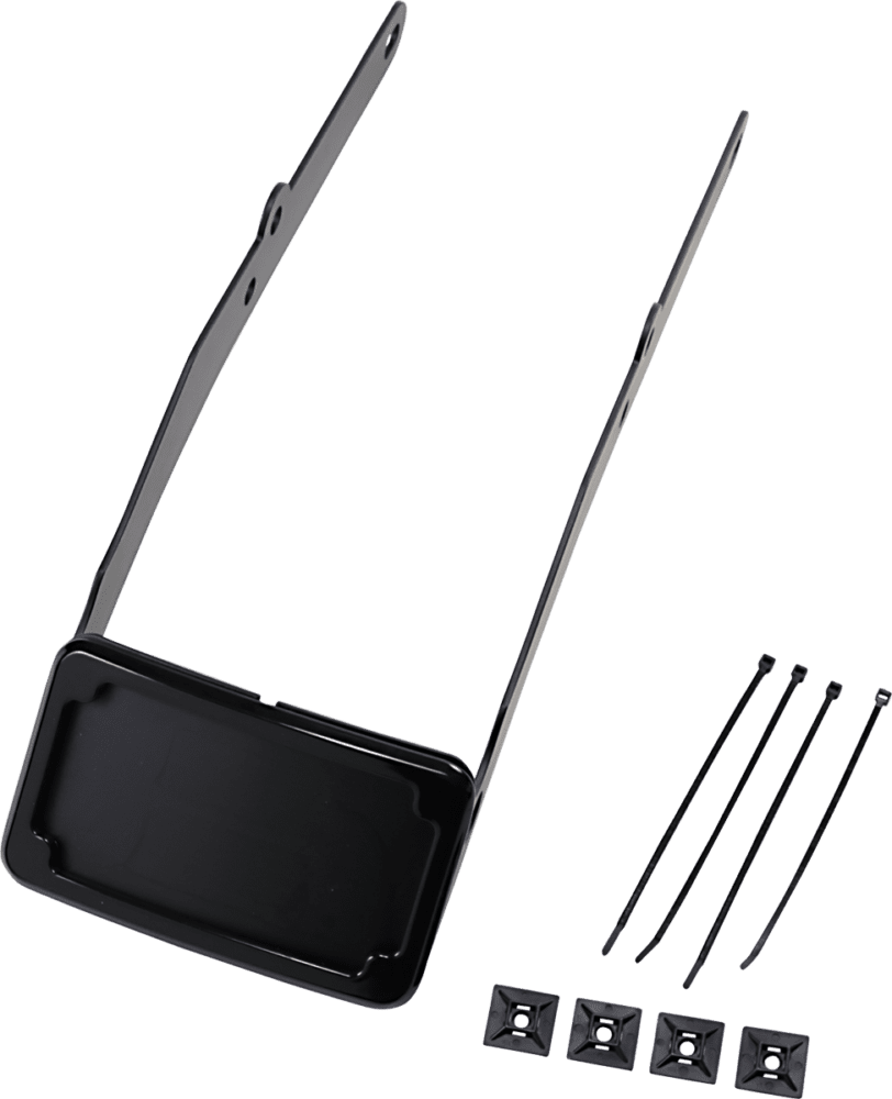 Curved License Plate Frame and Mount with License Plate Light