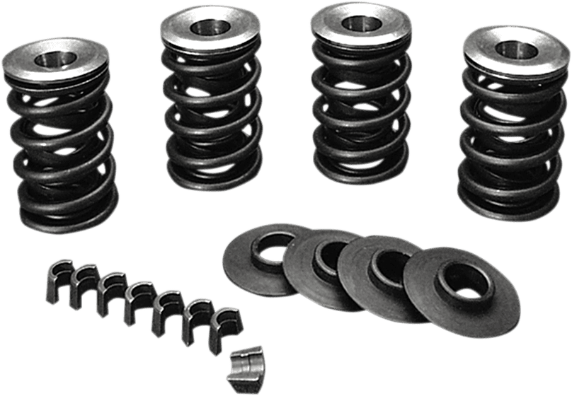 Valve Spring Kit