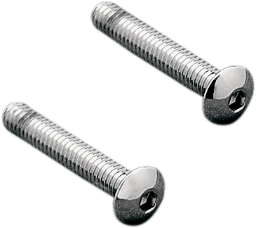 Taillight Lens Screw Kit