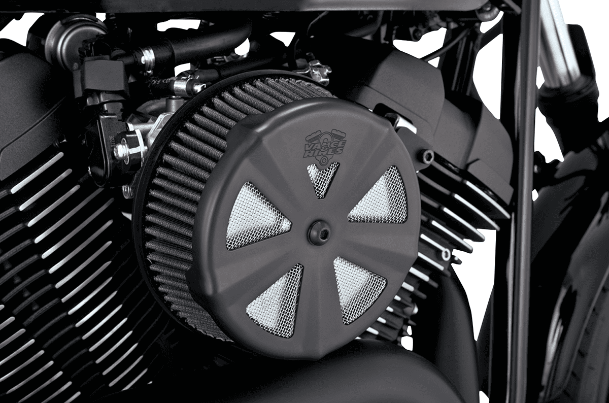 Air Cleaner Cover — Skullcap Crown