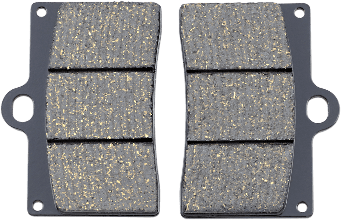 Organic Indian/Victory Brake Pads