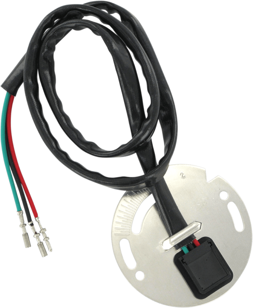 Ignition Sensor Assembly