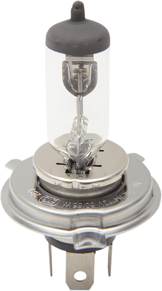 Halogen Headlight Bulb