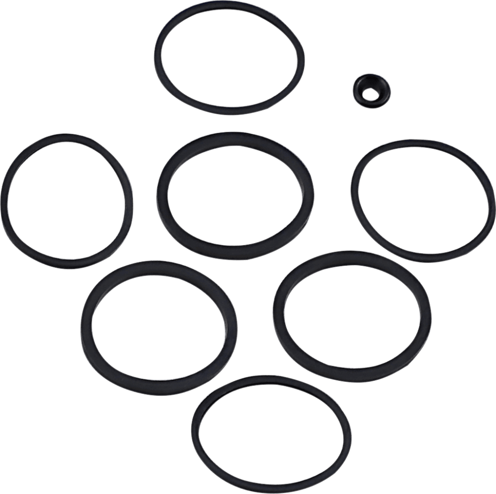 Caliper/Piston Seal Kit