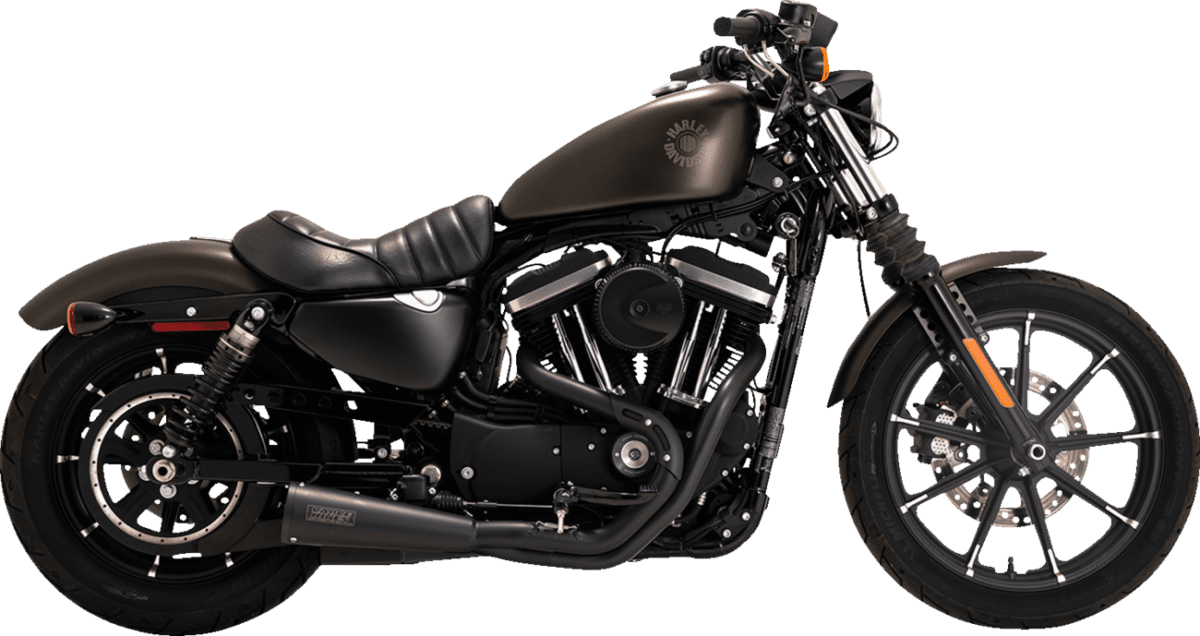 Upsweep 2-into-1 Exhaust System