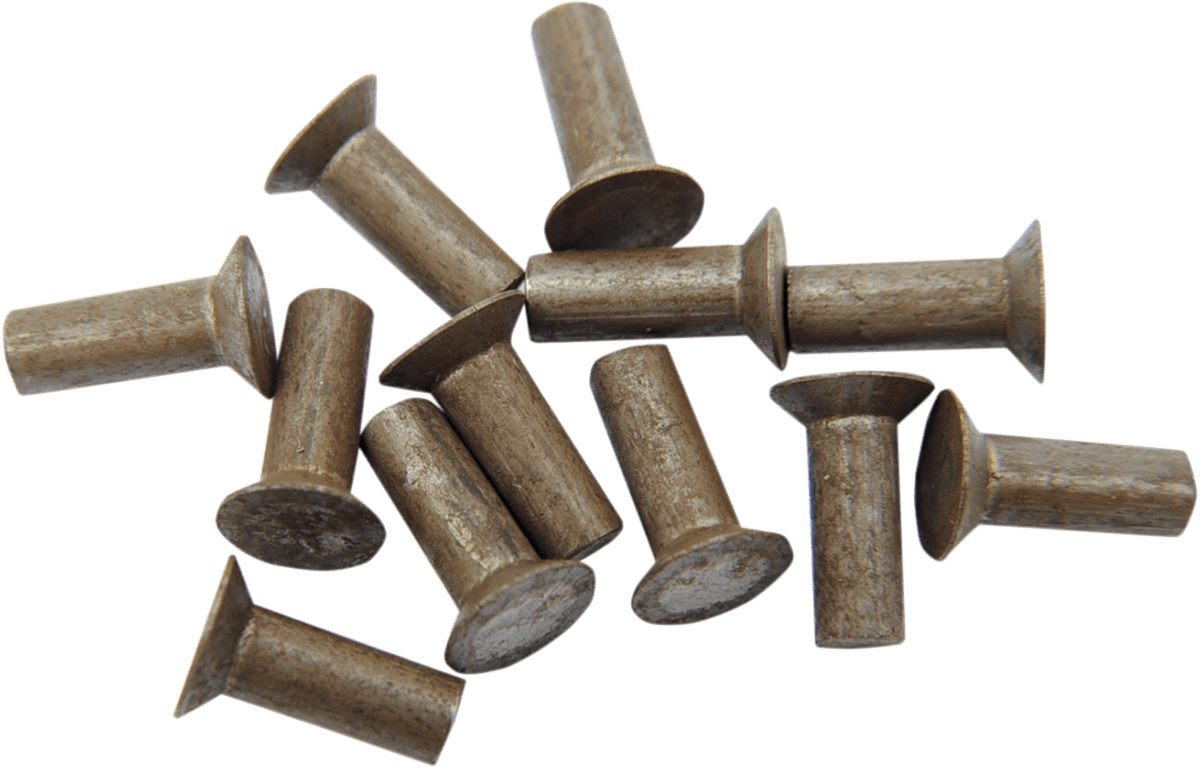 Rivets for Kickstart Ratchet Plate