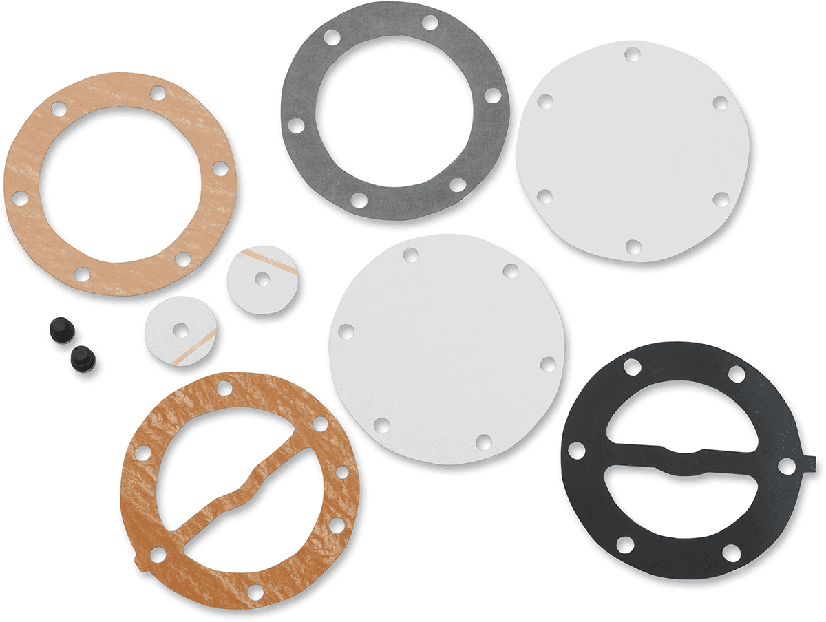 Fuel Pump Repair Kit