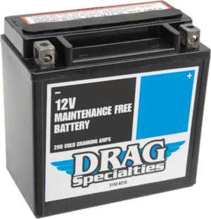 AGM Maintenance-Free Battery