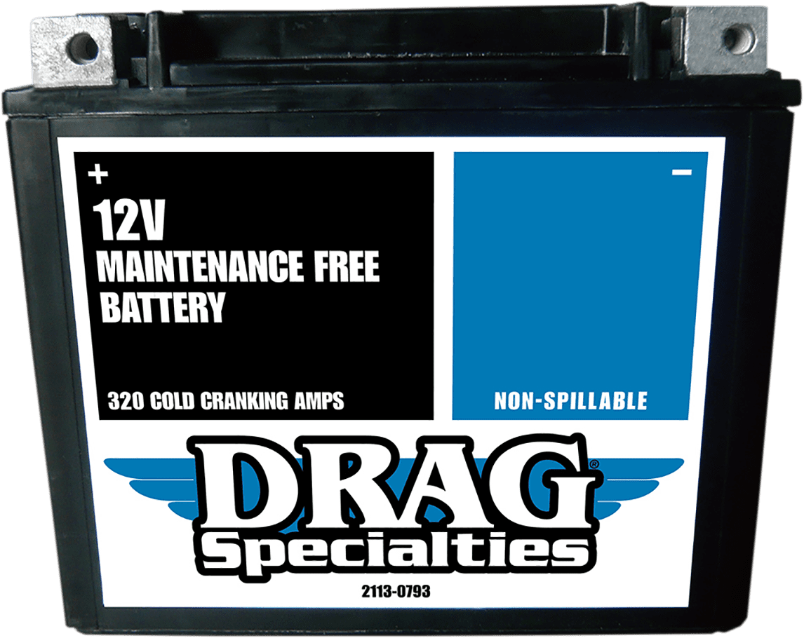 Factory-Activated High-Performance AGM Maintenance-Free Battery