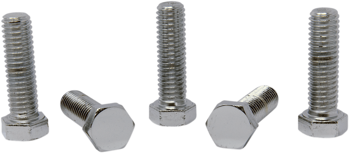 Replacement Hex-Head Bolts