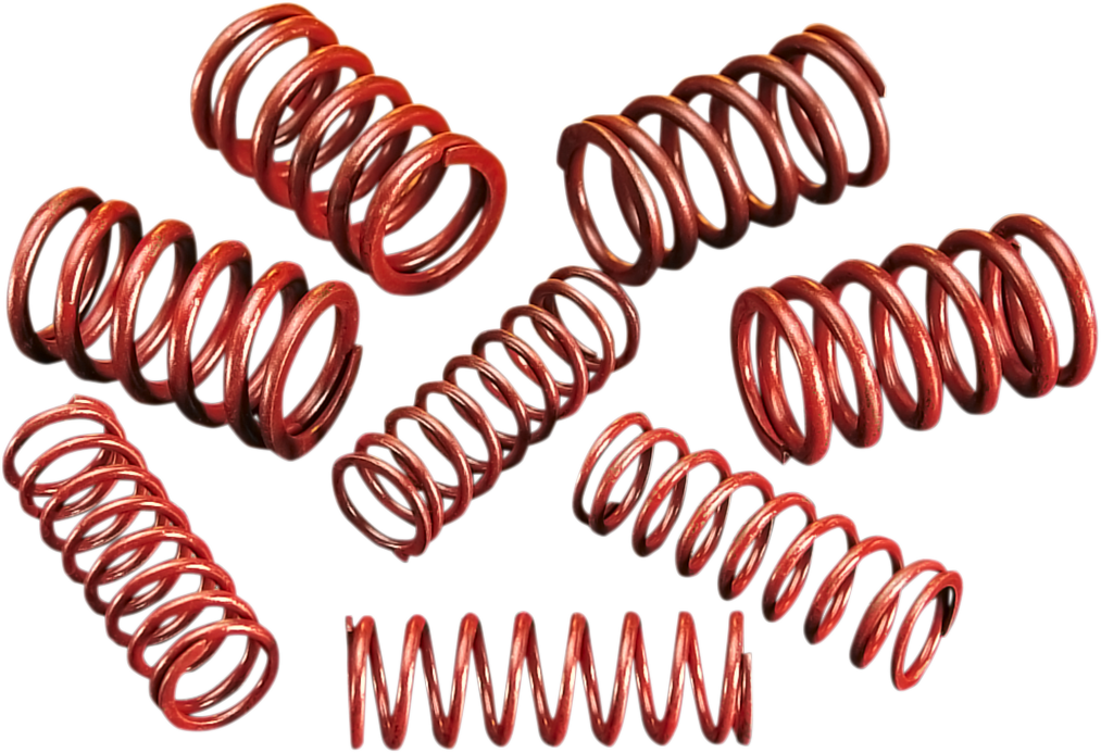 High-Lift Valve Spring Kit