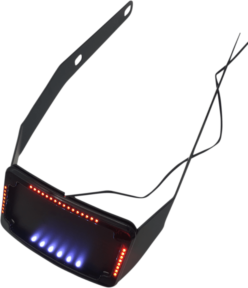 Curved License Plate Frame and Mount with License Plate Light