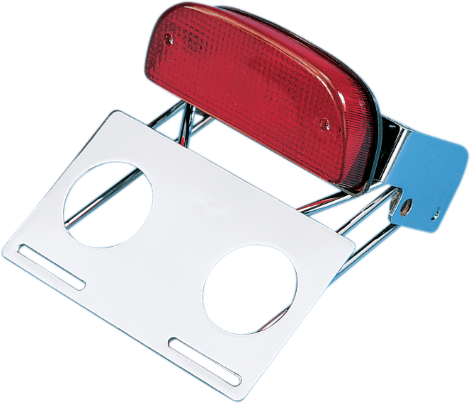Custom Taillight and Chrome Bracket Assembly