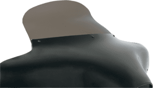 Batwing Spoiler Windshield