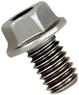 Replacement Exhaust Bolt — Bolt