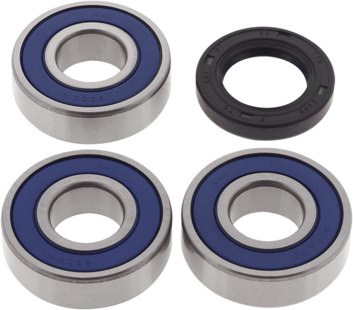 Wheel Bearing and Seal Kit