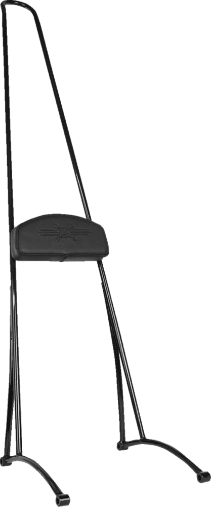 Stupid Tall Sissy Bar