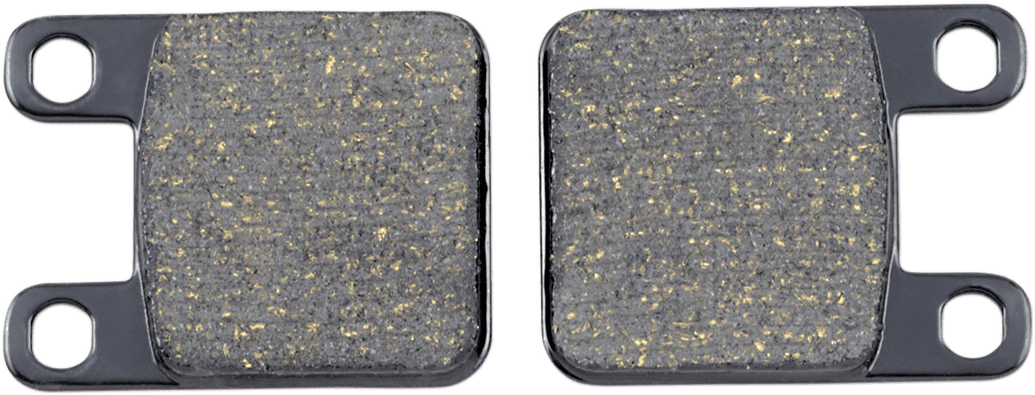 Organic Indian/Victory Brake Pads