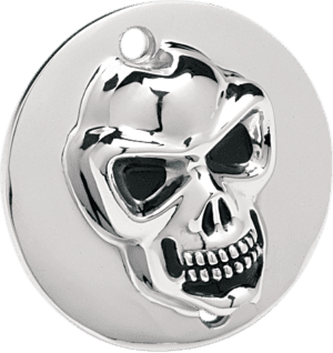 3-D Skull Points Cover