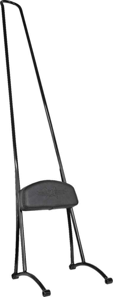 Stupid Tall Sissy Bar