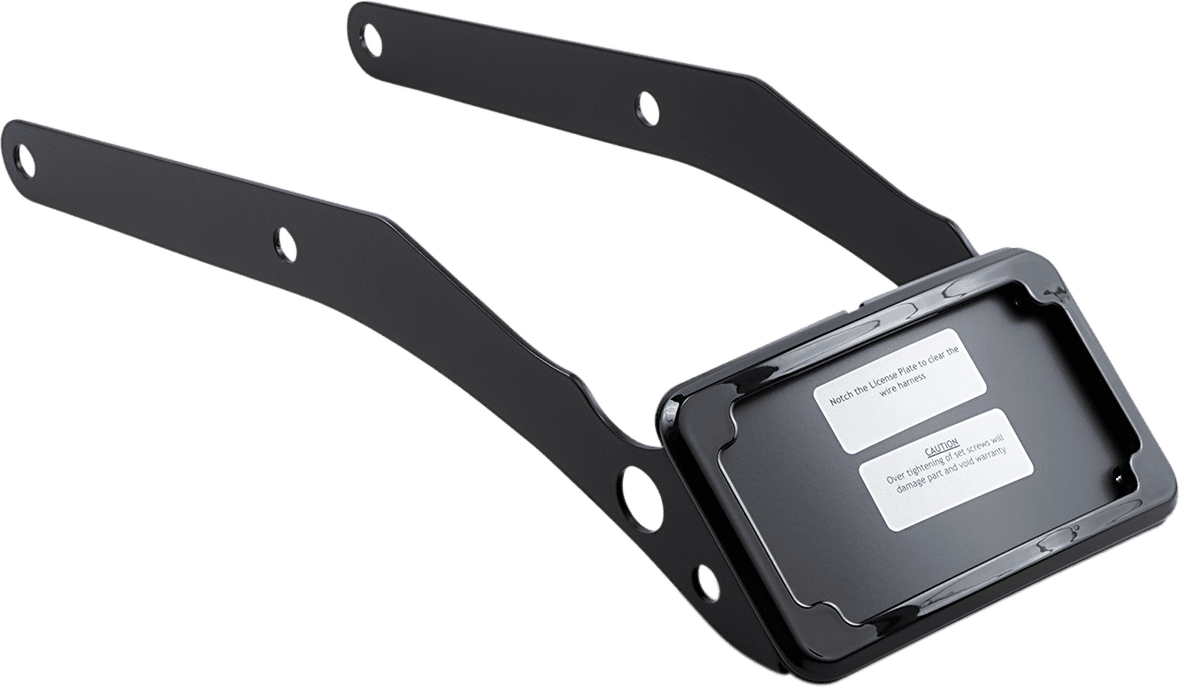 Curved License Plate Frame and Mount with License Plate Light