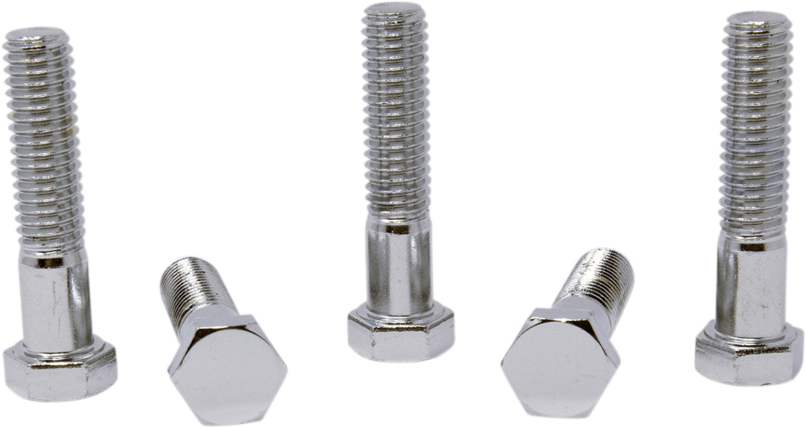 Replacement Hex-Head Bolts