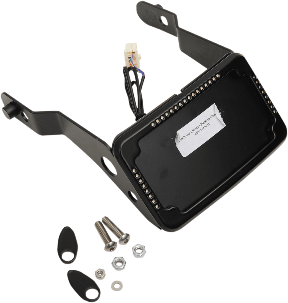 Curved License Plate Frame and Mount with License Plate Light