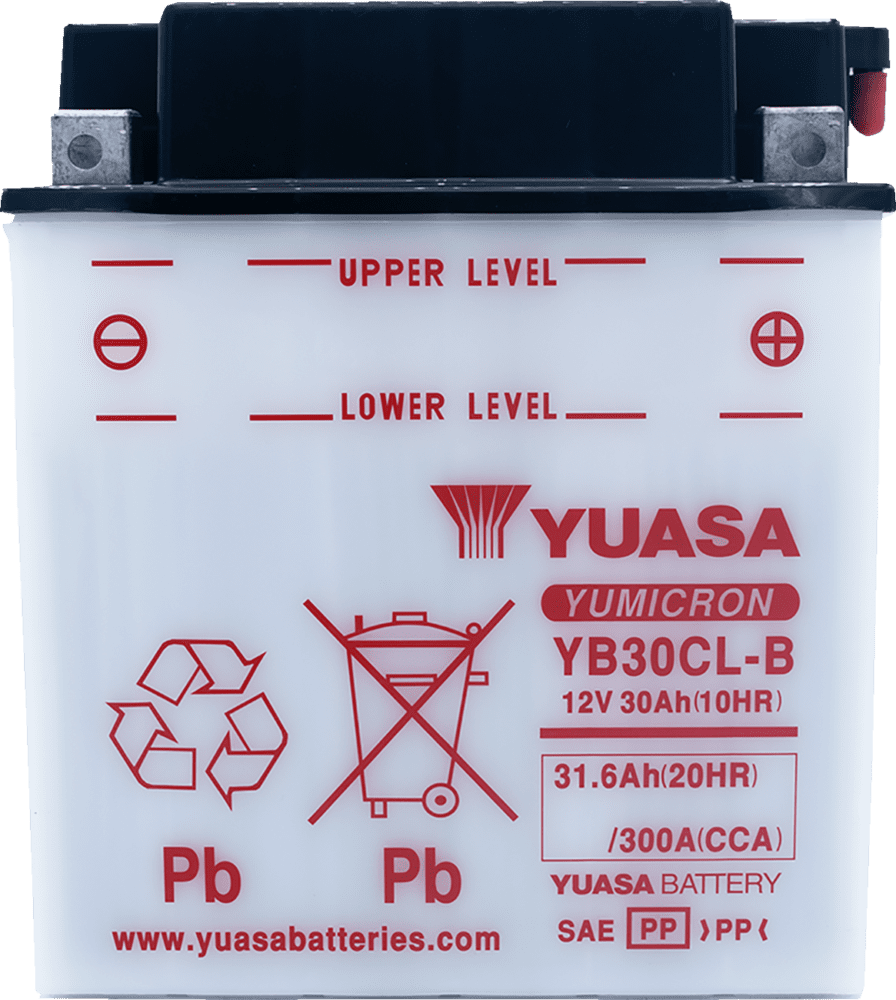 Conventional Battery — 12 V