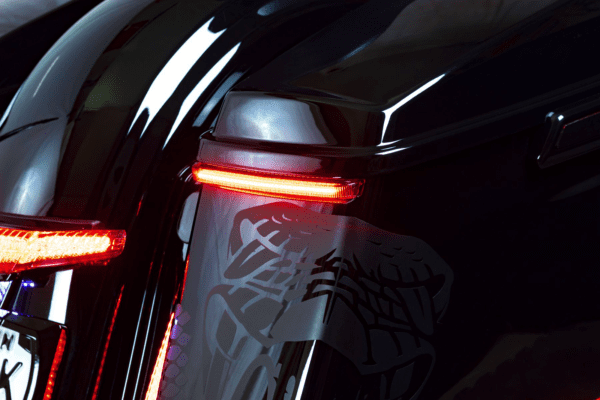 Bag Blades® Accent Lights